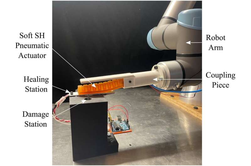 Danos permanentes a polímeros autocurativos em robôs leves
